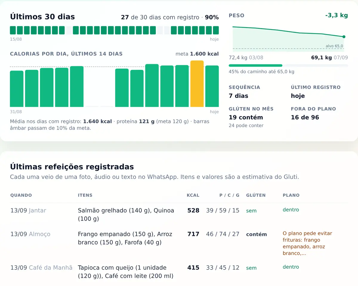 Resumo pré-consulta: calendário de registro, calorias por dia contra a meta, curva de peso e as últimas refeições item a item